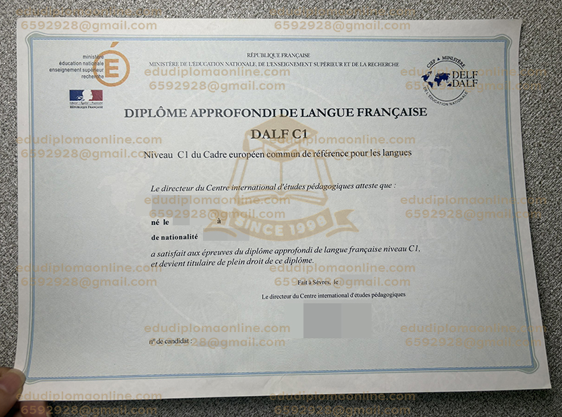 DALF C1 Certificate