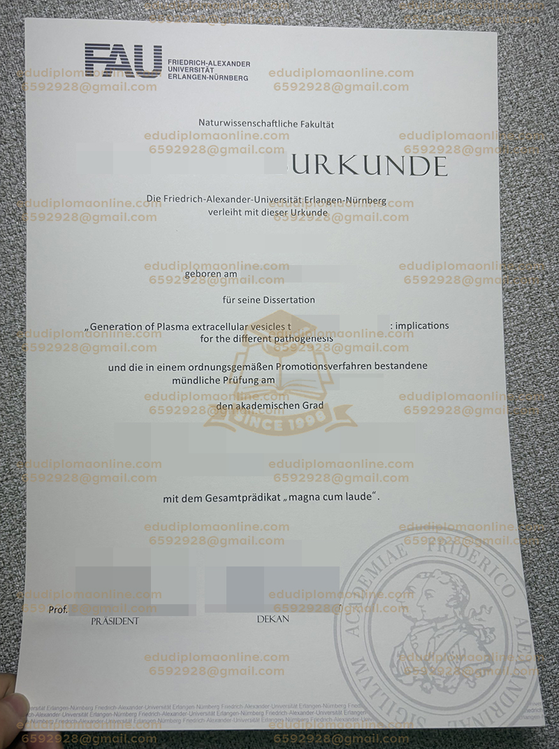 FAU Urkunde
