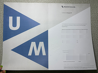 Maastricht University diploma-1