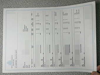 SEGi University transcript-1