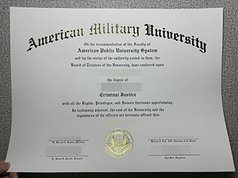 AMU Diploma-1