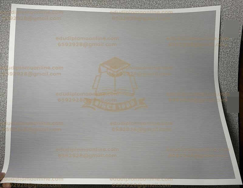 California CPA Certificate Back