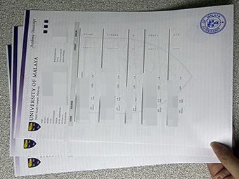 University of Malaya transcript-1