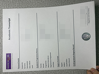 University of Manchester transcript-1